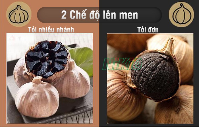 Nồi làm tỏi đen Nikio NK-696