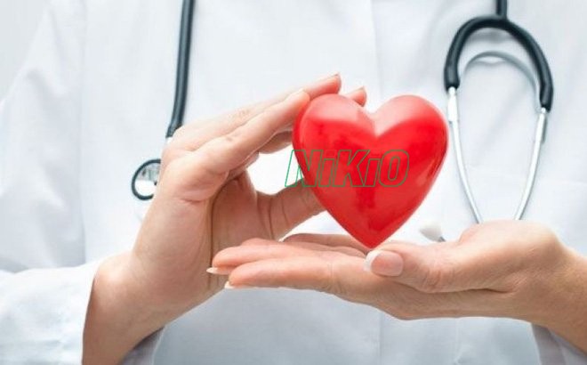 Tỏi đen giúp hỗ trợ chữa bệnh tim mạch thúc đẩy tuần hoàn máu 